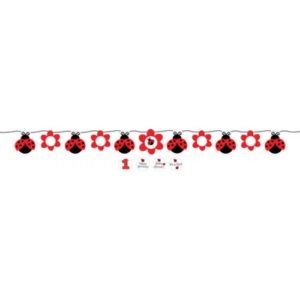 Ladybug Fancy Ribbon Circle Banner With Stickers